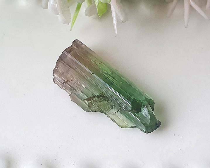 Turmalina Bicolor Especial 1,9 cm 7,3 ct