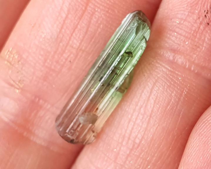 Turmalina Bicolor Especial 1,9 cm 5,4 ct