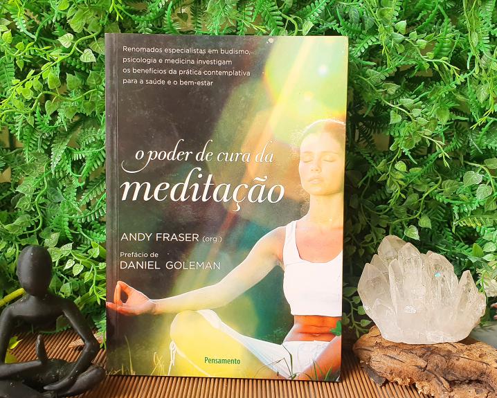 O Poder de Cura da Meditação: Renomados Especialistas em Budismo, Psicologia e Medicina Investigam os Benefícios da Prát