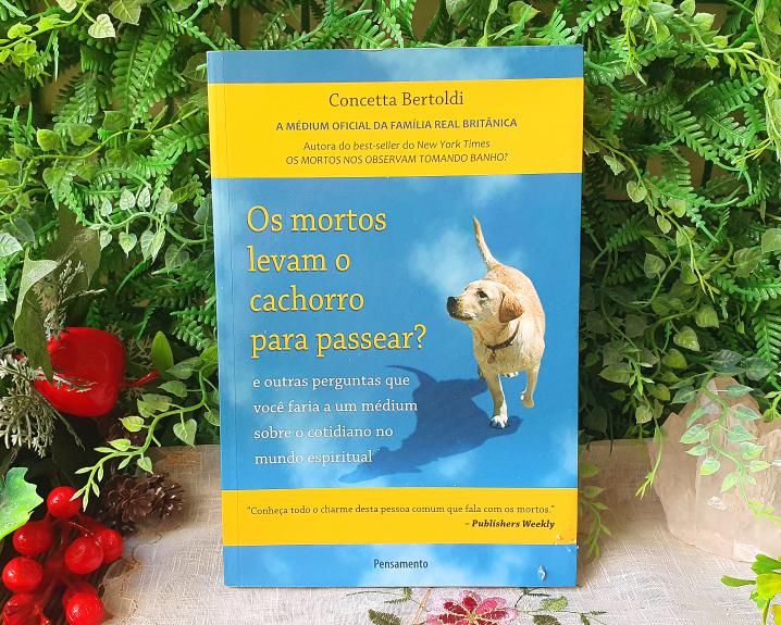 Os Mortos Levam o Cachorro Para Passear? e Outras Perguntas que Você Faria a um Médium Sobre o Cotidiano no Mundo Espir