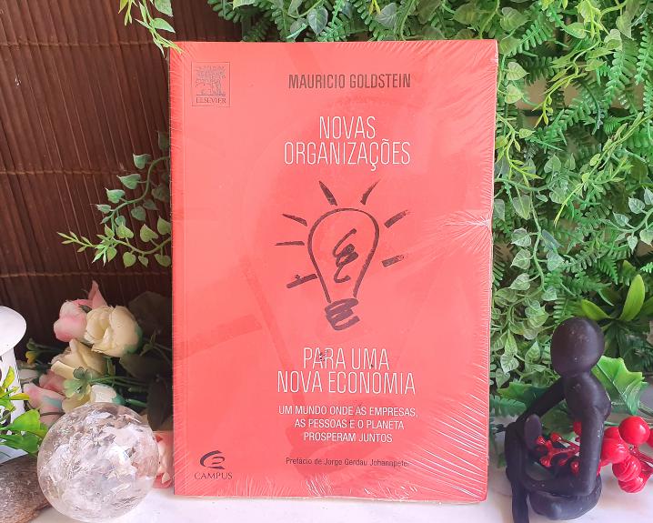 Novas Organizações Para Uma Nova Economia