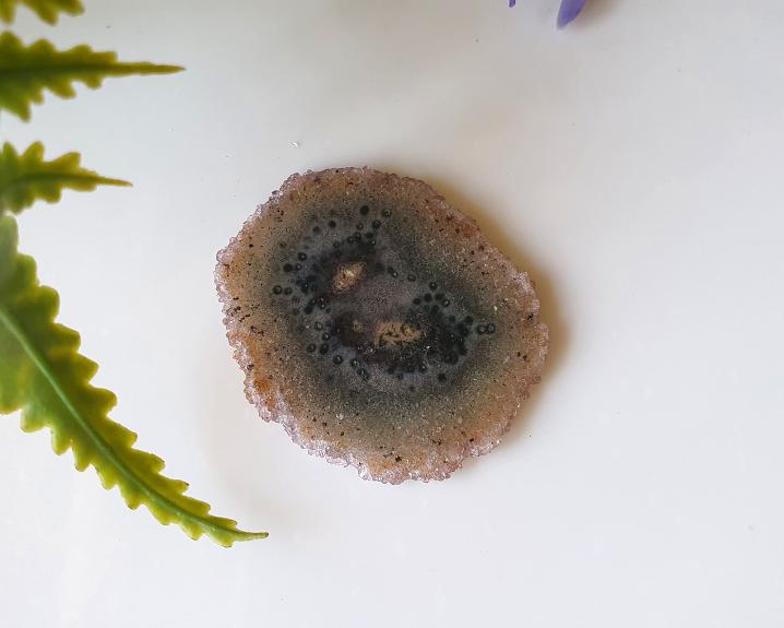 Estalactite de Ametista (RARO) 5g