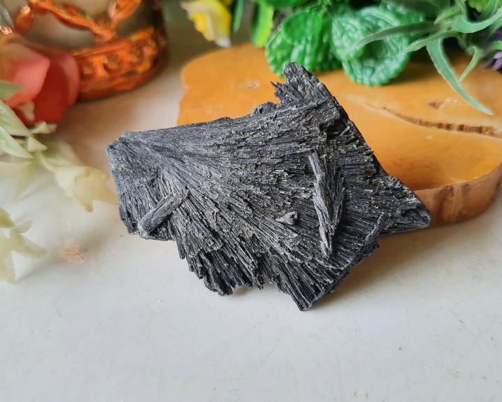 Vassouras de Bruxa (Cianita Negra) 31g