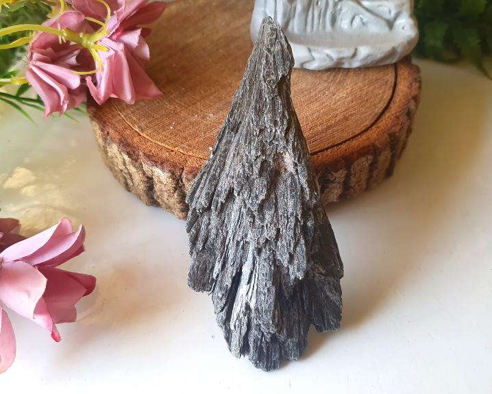 Vassouras de Bruxa (Cianita Negra) 109g