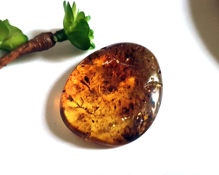 Âmbar Especial 8g