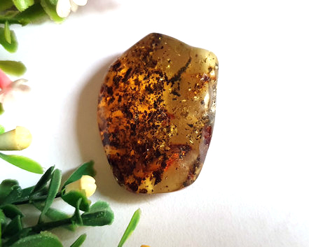 Âmbar Especial 10g