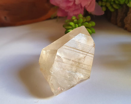 Ponta de Cristal Lemúria 66g