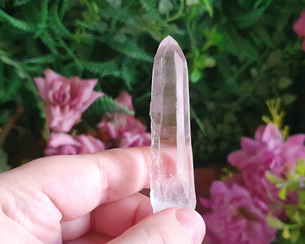 Cristal Laser 22g