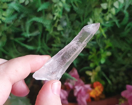 Cristal Laser 19g
