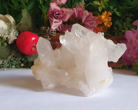 Drusa de Cristal 305g