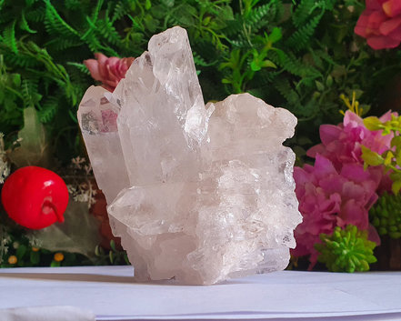 Drusa de Cristal 311g
