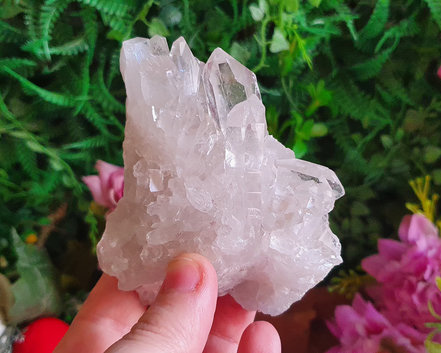 Drusa de Cristal 261g