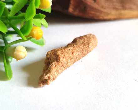Fulgurito (RARO)