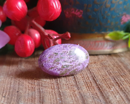 Stichtita (RARO)