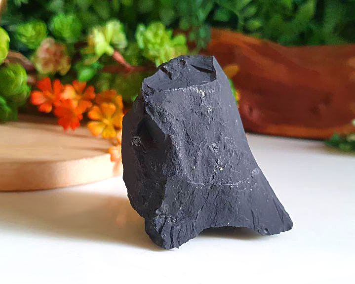 Shungita 77g