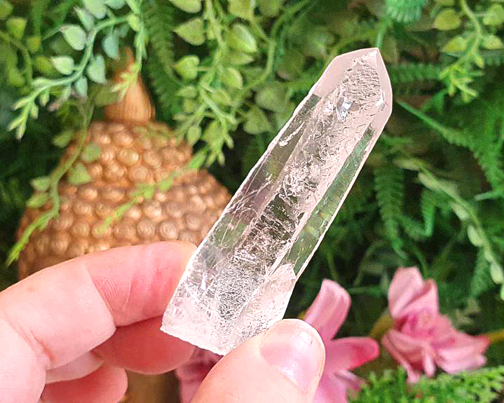 Cristal Semente Estelar 39g