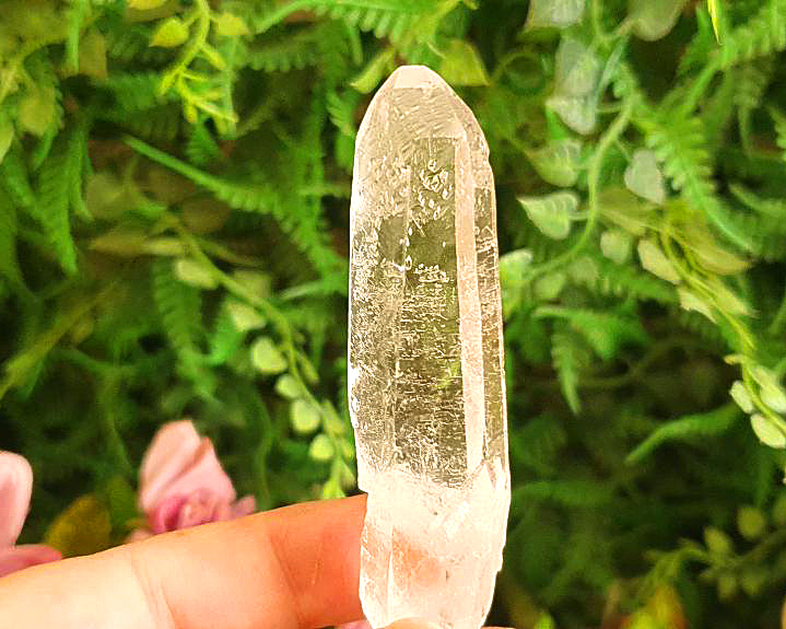 Cristal Semente Estelar 32g