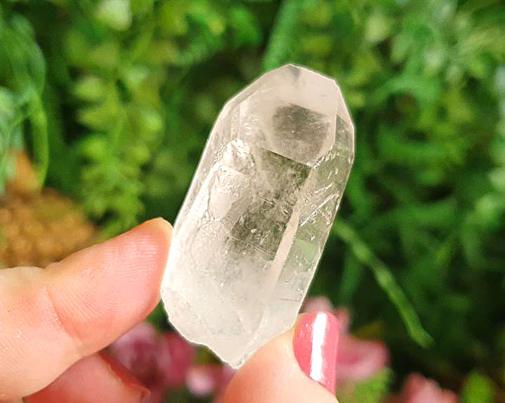 Cristal Semente Estelar 32g