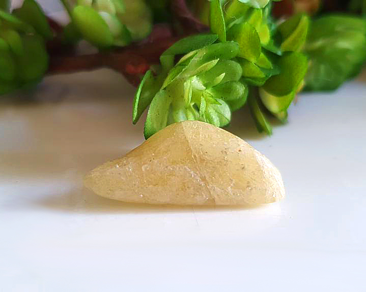 Cristal  Agni Gold (Damburita) 2g