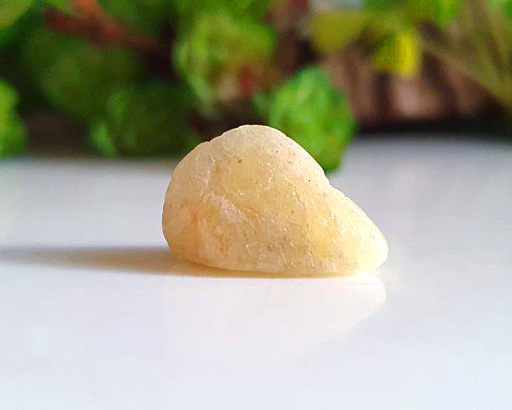 Cristal  Agni Gold (Damburita) 3g