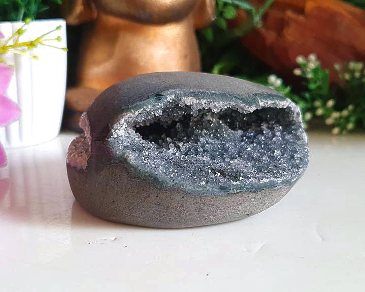 Concha de Ametista (RARO) 281g