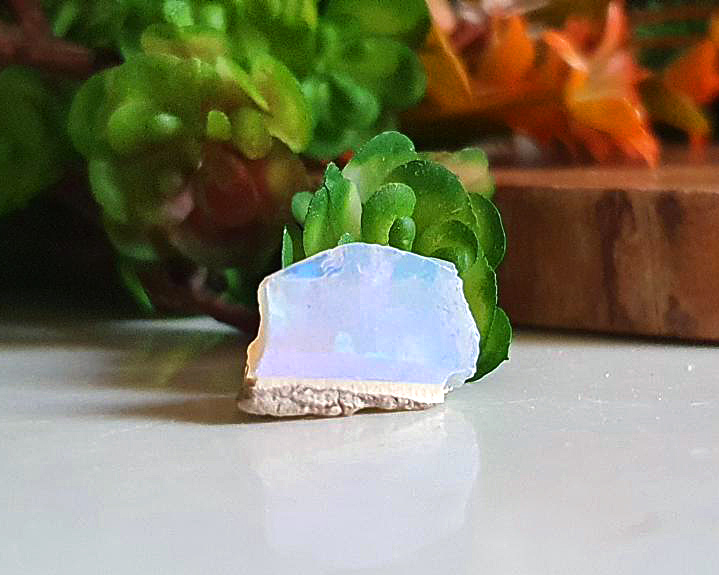 Opala Welo (RARO) 2,5 CT