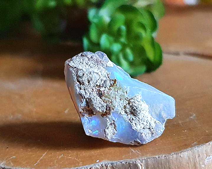 Opala Welo (RARO) 7 CT