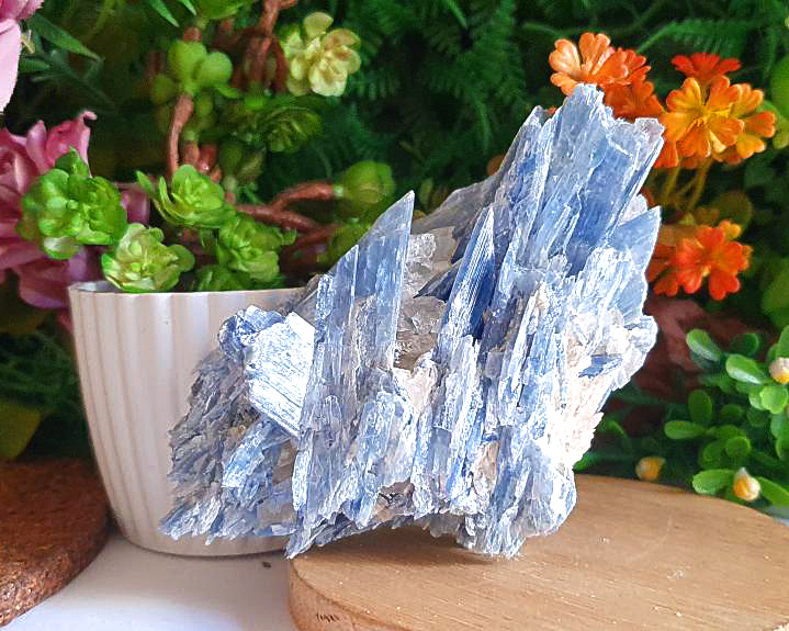 Cianita Azul  Cristalizada  356g