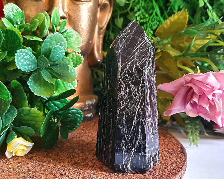 Ponta de Turmalina Negra 170g