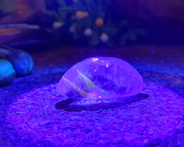 Cristal Powelite  Polido (Brilha na Luz Negra UV) RARO 7g