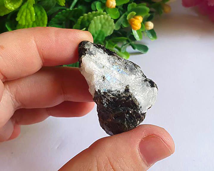 Pedra da Lua Bruta Iridescente  24g