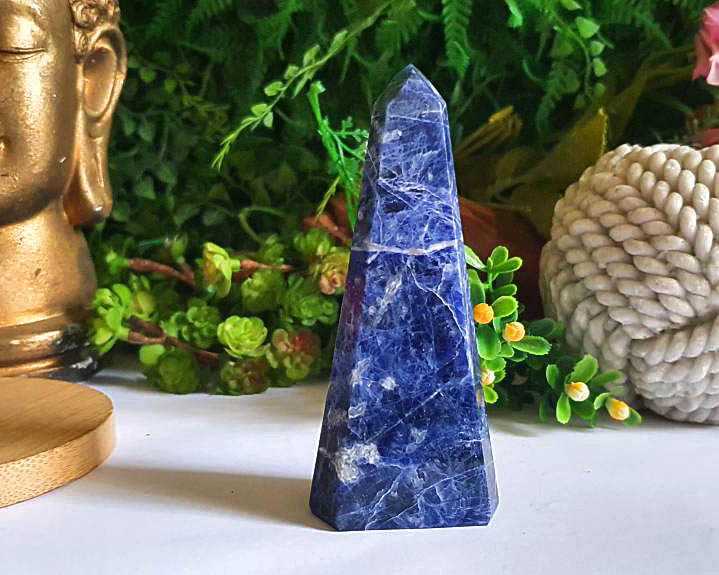 Ponta dde Sodalita Especial 103g