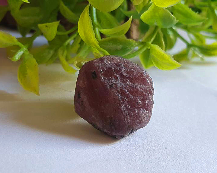 Rubi Atlante (RARO) 8g