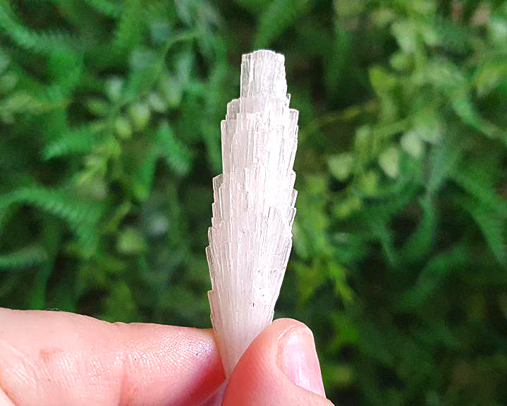 Escolecita (RARO)