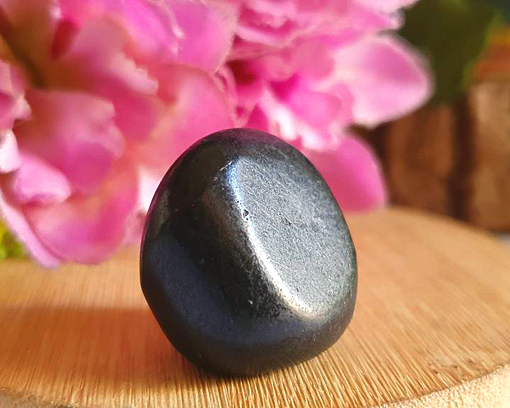 Shungita 16g