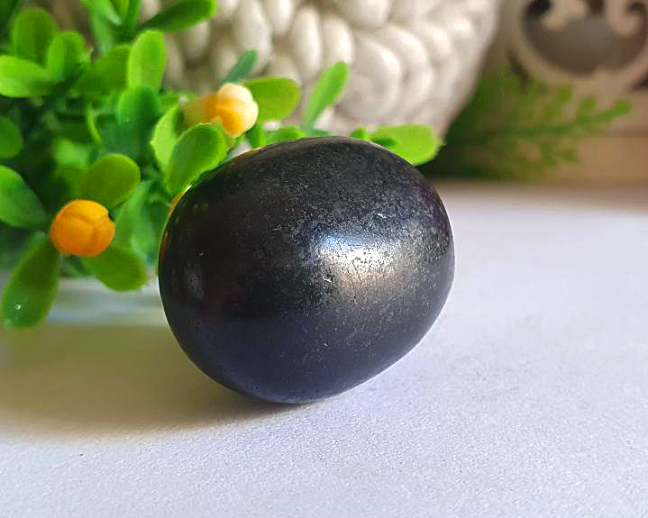 Shungita 16g