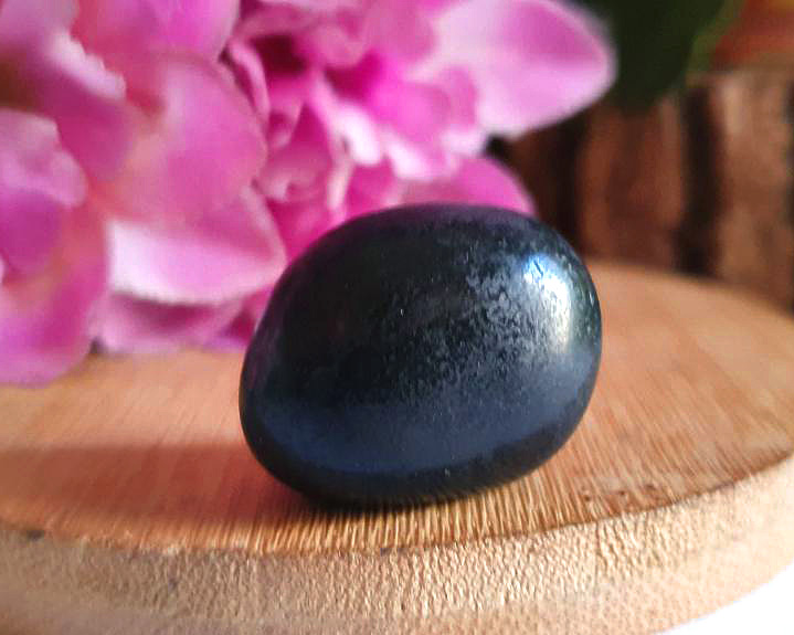 Shungita 12g